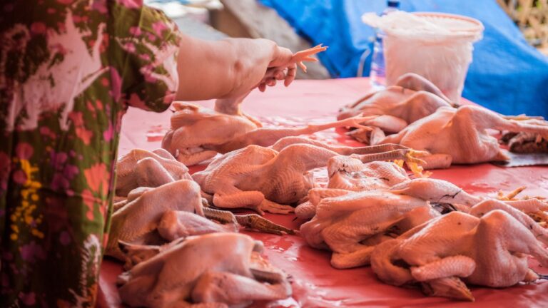 Harga Daging Ayam