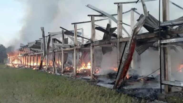 Kebakaran Kandang Ternak Ayam di Kendal